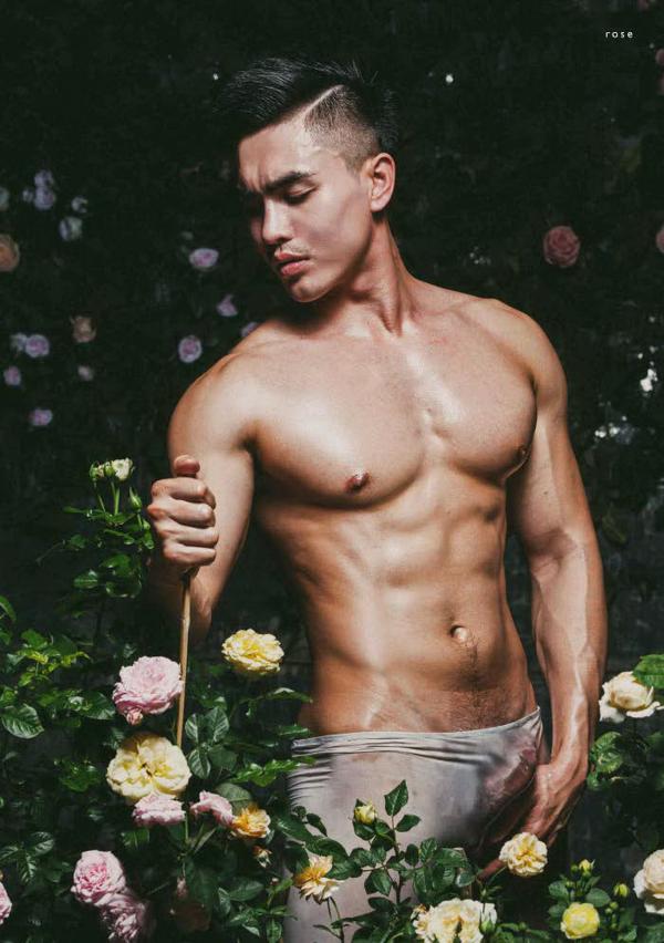 XPERIMENT--Rose-Garden