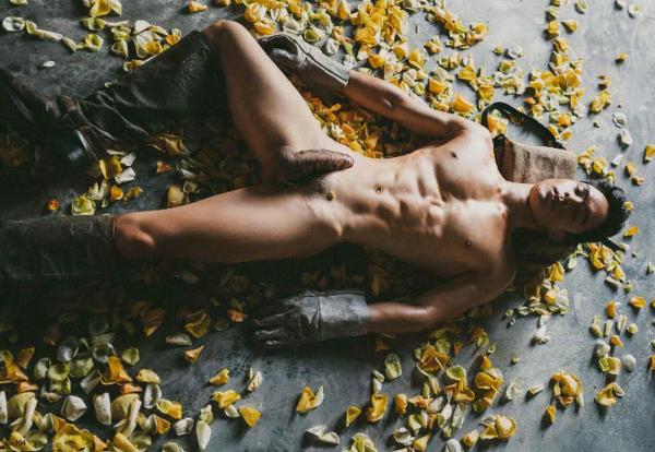 XPERIMENT--Rose-Garden