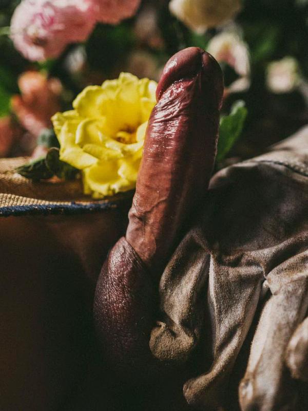 XPERIMENT--Rose-Garden