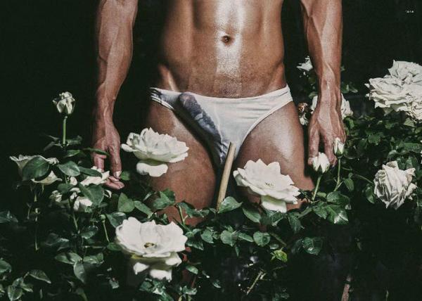 XPERIMENT--Rose-Garden