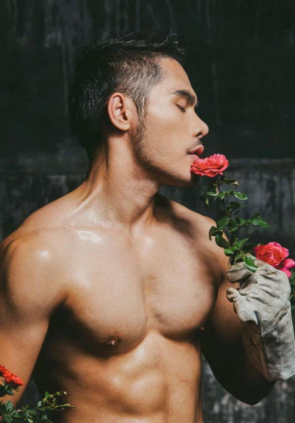 XPERIMENT--Rose-Garden