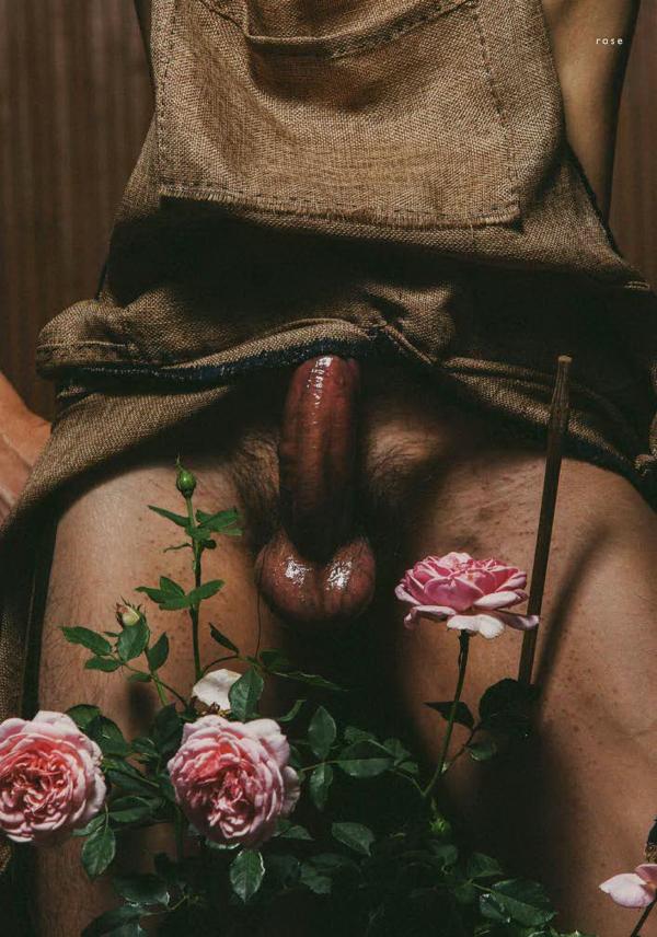 XPERIMENT--Rose-Garden