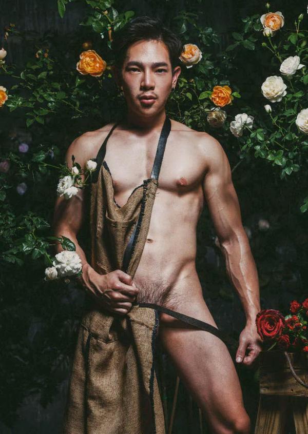 XPERIMENT--Rose-Garden