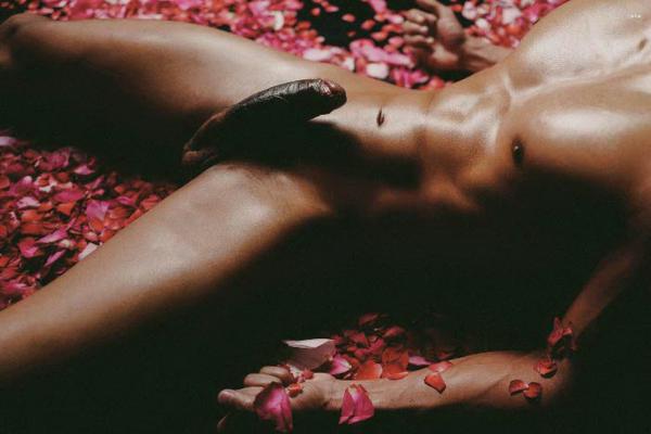 XPERIMENT--Rose-Garden