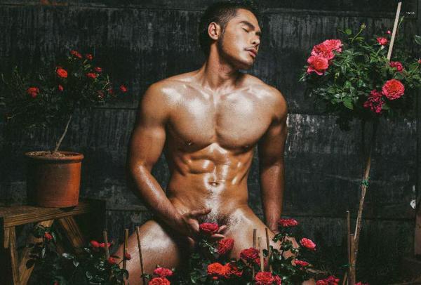 XPERIMENT--Rose-Garden