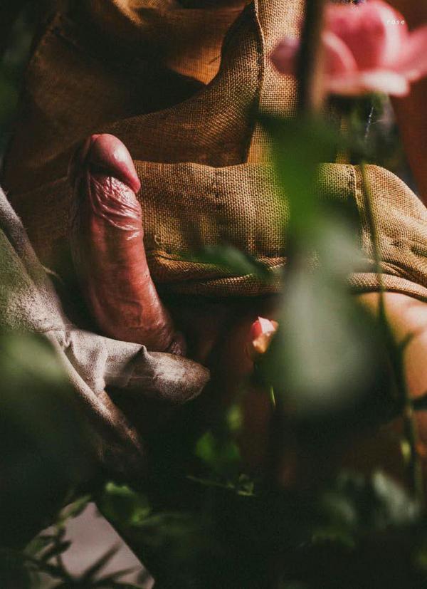 XPERIMENT--Rose-Garden