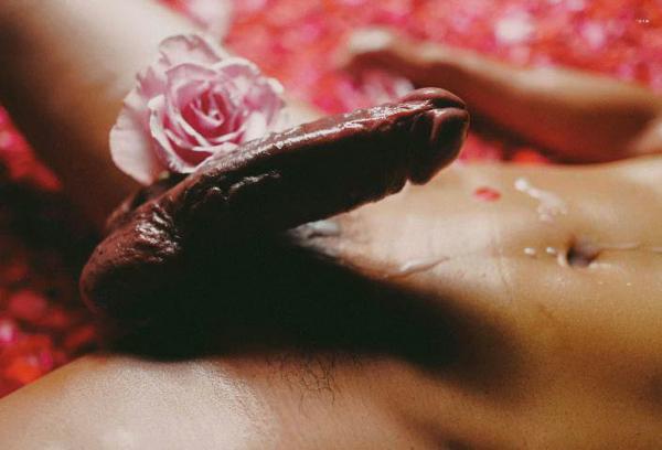 XPERIMENT--Rose-Garden