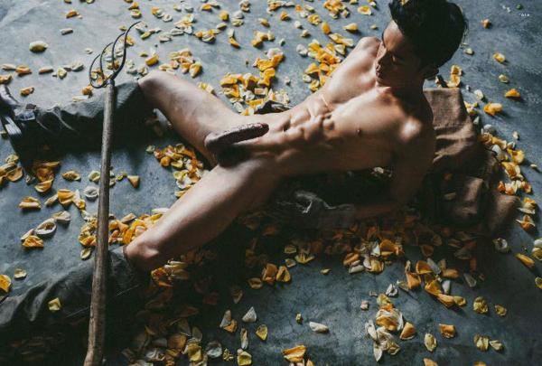 XPERIMENT--Rose-Garden