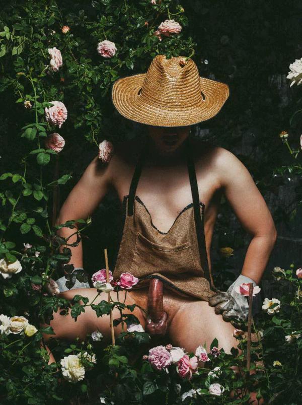 XPERIMENT--Rose-Garden