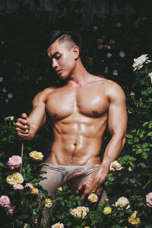 XPERIMENT--Rose-Garden