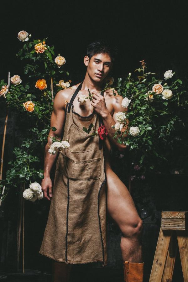 XPERIMENT--Rose-Garden