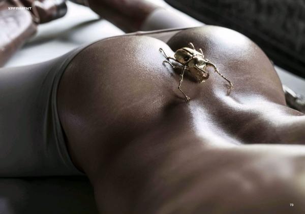 XPERIMENT-10--The-Entomologist