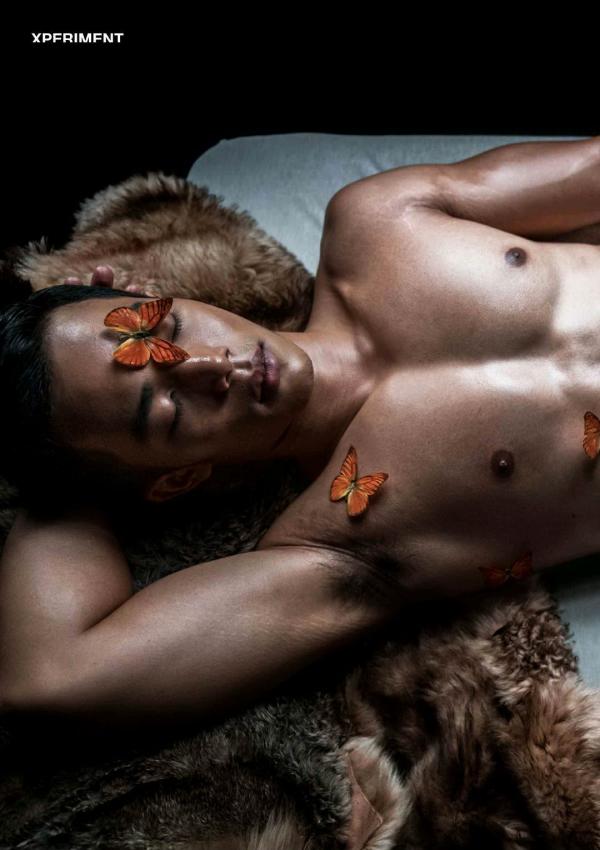 XPERIMENT-10--The-Entomologist