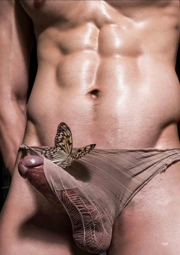 XPERIMENT-10--The-Entomologist