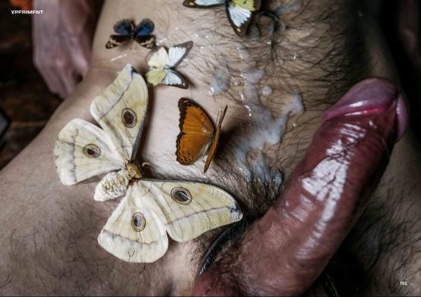 XPERIMENT-10--The-Entomologist