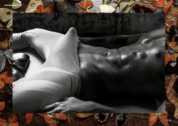 XPERIMENT-10--The-Entomologist