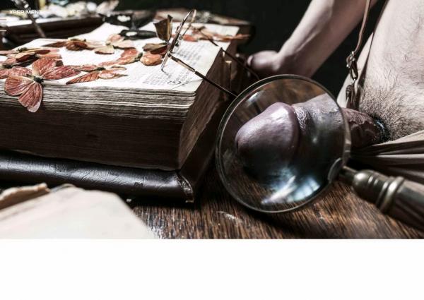 XPERIMENT-10--The-Entomologist