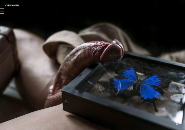 XPERIMENT-10--The-Entomologist