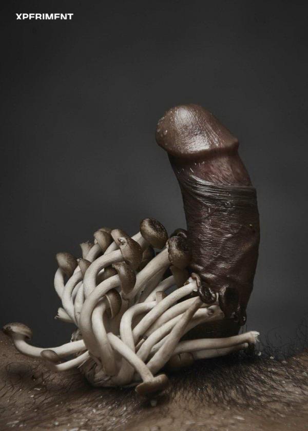 XPERIMENT-SPECIAL-02--SinGle-Men-Special