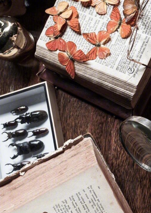 XPERIMENT-SPECIAL-06--111