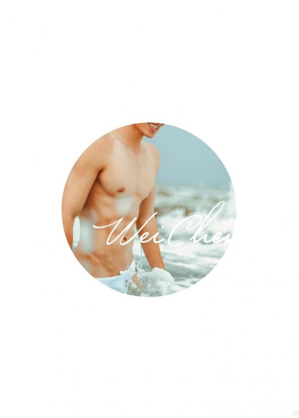 璞玉印象-no.15-Wei-Chen