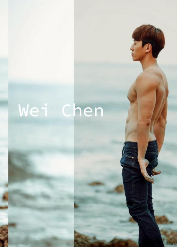 璞玉印象-no.15-Wei-Chen