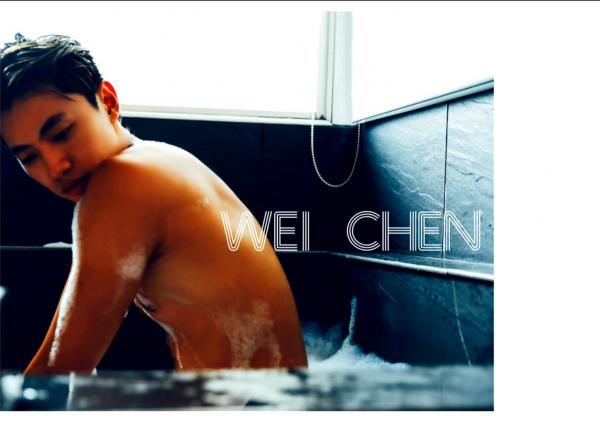 璞玉印象-no.15-Wei-Chen