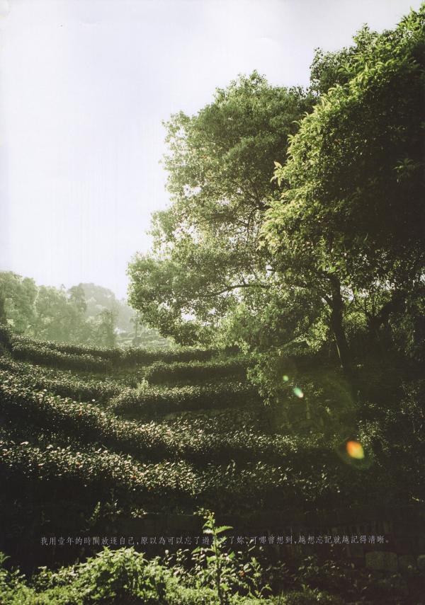 謝梓秋男性ヌード写真集「LOVE-Entanglement」-茶顏